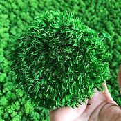 Цветы и флористика handmade. Livemaster - original item Stabilized moss forest tussock (1 kg) from the manufacturer. Handmade.