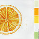 Delicious orange, watercolor. Fine art photographs. Belasla. My Livemaster. Фото №4