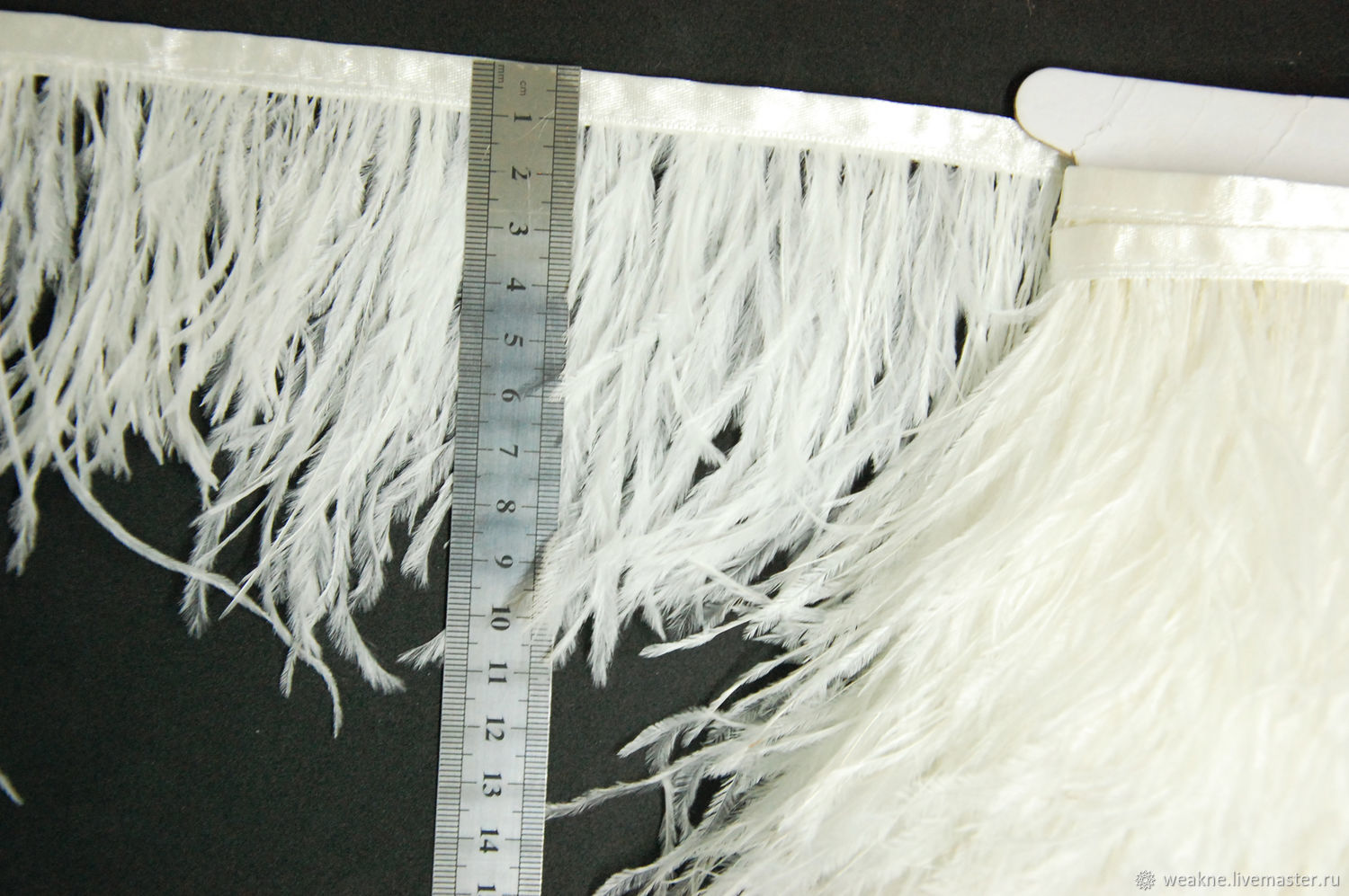 discount ostrich plumes