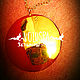 'Buckle-Styazhen', amulet-pendant, gold. Money magnet. Voluspa. Online shopping on My Livemaster.  Фото №2