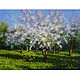 Oil painting landscape ' Spring has reigned', Pictures, Belorechensk,  Фото №1