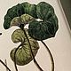 Иллюстрации ботаники, принты. Картины. Masterbotanic. Ярмарка Мастеров.  Фото №6