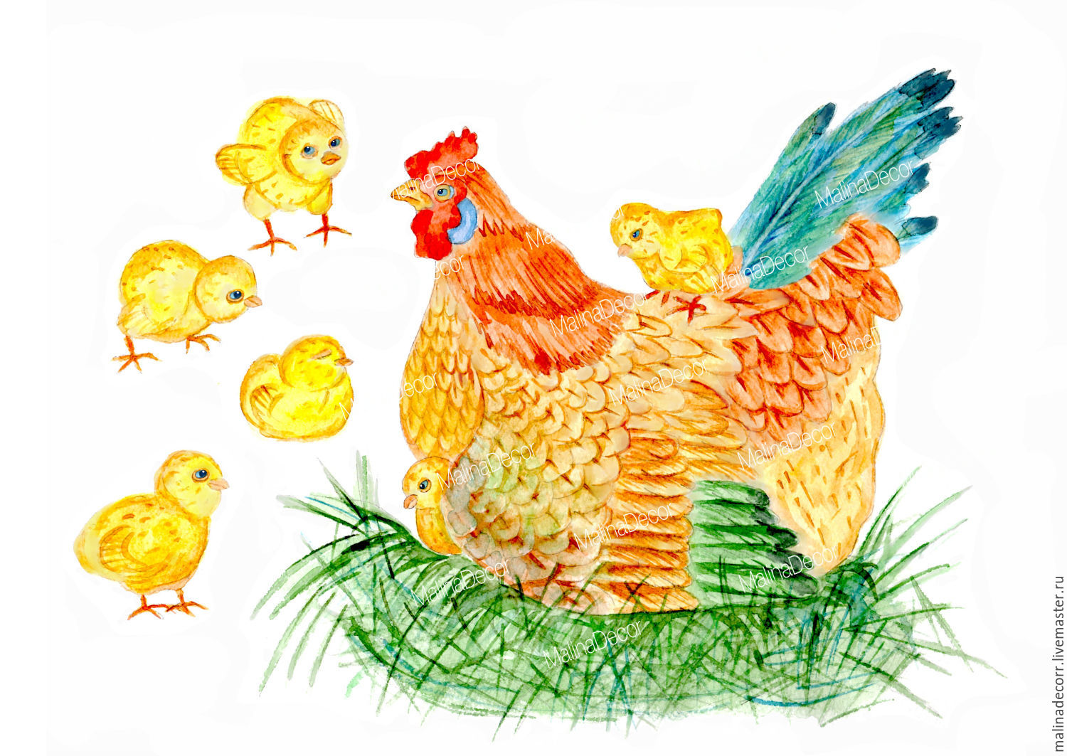 Картина дети кормят курицу и цыплят. Курица с цыплятами картинки для детей. Курица с цыплятами рисунок. Сюжетные картинки курица и цыплята. Курочка с цыплятами картинки для детей.