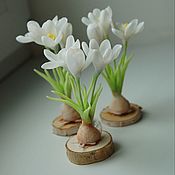 Сувениры и подарки handmade. Livemaster - original item Gifts for March 8: White crocus - primrose on the saw. Handmade.
