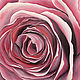 Картины маслом живопись Картина розовая роза макро Картина цветы, Картины, Брянск,  Фото №1