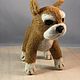 Toy bulldogs made of wool. Felted Toy. colorlight (colorlight). My Livemaster. Фото №6
