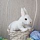 Заяц. Мягкие игрушки. INKIS FUR BALLS. Ярмарка Мастеров.  Фото №4