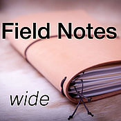 Канцелярские товары handmade. Livemaster - original item Traveler`s notebook - Field Notes size (Wide). Handmade.