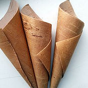 Материалы для творчества handmade. Livemaster - original item Decor for floristics: A cone made of birch bark for eco-decor.. Handmade.