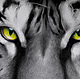 Картина тигр с зелеными глазами, бумага, карандаш. Картины. Картины Вестниковой Екатерины. Интернет-магазин Ярмарка Мастеров.  Фото №2