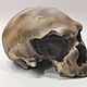 Модель черепа антропологическая, неандерталец из Монте-Чирчео. Элементы интерьера. Чё по черепам. Интернет-магазин Ярмарка Мастеров.  Фото №2
