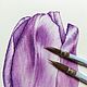 Заказать Фиолетовый тюльпан. Екатерина Архангельская. Ярмарка Мастеров. . Картины Фото №3