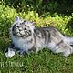  Реалистичный котёнок Барсик. Мягкие игрушки. KravetsTatyana. Ярмарка Мастеров.  Фото №4