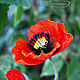 Interior composition "Poppies" made of polymer clay. Composition. Fairyland by Nata Vysochkova. My Livemaster. Фото №5