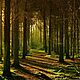 Кулон || Варисцит, медь, латунь. Кулон. Ира Белавина (irabelavina). Ярмарка Мастеров.  Фото №8