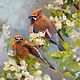  waxwings, Pictures, Vyshny Volochyok,  Фото №1