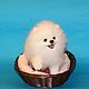 White puppy Spitz. Stuffed Toys. Anna Petinati- Live toys handmade. My Livemaster. Фото №6