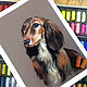  Dog Dachshund. Original. Pastel. Pictures. Valeria Akulova ART. Online shopping on My Livemaster.  Фото №2