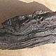 Коряга дрифтвуд декоративная чёрная. Элементы интерьера. Юлия Driftwood и Stones. Ярмарка Мастеров.  Фото №5