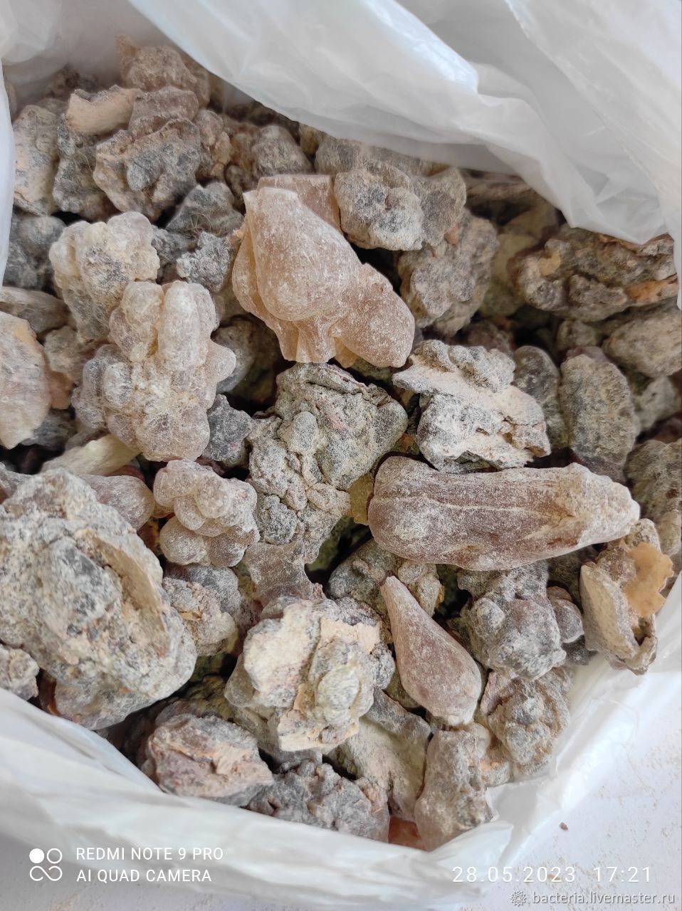 Ладан смола Сомали, олибанум, Boswellia carterii, 10 грамм в интернет ...