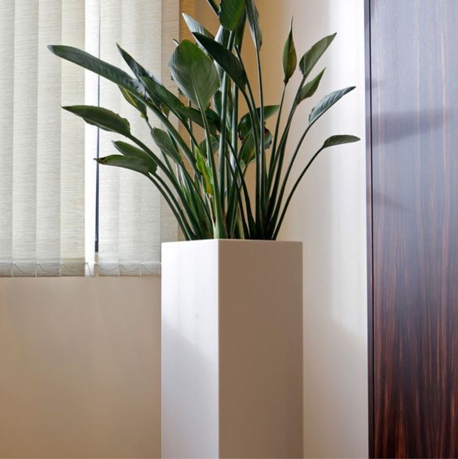 Outdoor plant pots direct купить на Ярмарке Мастеров