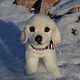 Soft toys: White dog, Stuffed Toys, Simferopol,  Фото №1