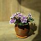 Order Violets from cold porcelain. Marina Zhadan. Livemaster. . Houseplants Фото №3