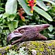 Трубочка для Рапэ Курипи Орел Aguila ручная работа. Ритуальная атрибутика. Fungithera. Ярмарка Мастеров.  Фото №4