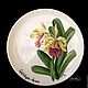 Painted porcelain Plate Orchid Collection. Plates. ArtFlera (artflera). My Livemaster. Фото №6