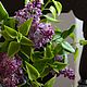 Branch of lilac for a vase with a narrow neck.Cold porcelain, Composition, Odessa,  Фото №1