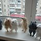 Knitted mouse Lariska - spokes, Stuffed Toys, Teykovo,  Фото №1