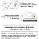 Горный хрусталь и амазонит женский браслет из натуральных камней. Браслет из бусин. ШЁПОТ КАМНЯ. Ярмарка Мастеров.  Фото №10
