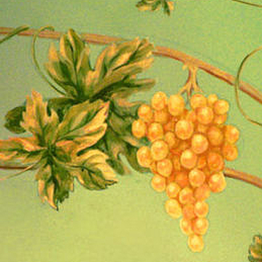 Виноградная лоза рисунок на стене - 56 фото