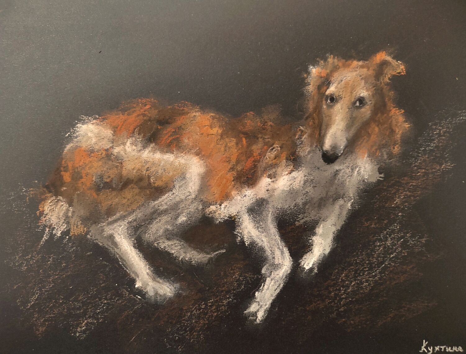 Борзая Картина пастель собака рисунок – заказать на Ярмарке Мастеров –  S9LP2RU | Картины, Москва