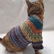 Зоотовары handmade. Livemaster - original item Sweater for animals 23101. Handmade.