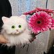Реалистичный котик. Мягкие игрушки. Просто Мария.. Ярмарка Мастеров.  Фото №5