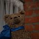 Мишка Кир. Мишки Тедди. Елена Перминова (elenaperminovabears). Ярмарка Мастеров.  Фото №11