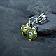 Серьги с авторским стеклом lampwork. Серьги классические. ЖуЖа_jewelry. Ярмарка Мастеров.  Фото №4