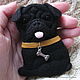 Felted portrait brooch Pug, Brooches, Ivano-Frankivsk,  Фото №1