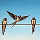 Swallows. tempera on canvas. Pictures. Tatiana Chepkasova. Online shopping on My Livemaster.  Фото №2