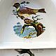 Винтаж: Portmeirion Botanic Gardens Birds блюдо/менажница. Сервизы винтажные. Decor.mylove. Ярмарка Мастеров.  Фото №5