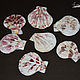 Shells 'Semiluna' cuts up to 3-3,5 cm, 5 PCs, Shells, Moscow,  Фото №1