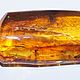 Сувенирный коллекционный камень янтаря с 6 насекомыми, Камни, Белокуриха,  Фото №1