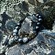 Заказать Браслет из камней с драконом йооперлит и обсидиан. Snow Jewelry. Ярмарка Мастеров. . Браслет плетеный Фото №3