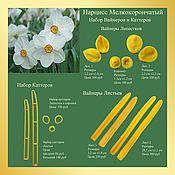 Материалы для творчества handmade. Livemaster - original item Narcissus melkokoronchaty set of silicone viners and cutters. Handmade.