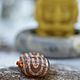 Honey Ji CHAKRA - TALISMAN OF DEVELOPMENT, Ji Spiral bead. Ji bead. Jewerly for Happiness. Online shopping on My Livemaster.  Фото №2