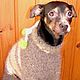 Knitted overalls for dogs from dog Pooh. Pet clothes. Livedogsnitka (MasterPr). My Livemaster. Фото №4
