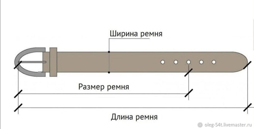 Belt size. Как определяется длина ремня. Как правильно измерить размер ремня. Как определить размер ремня мужского. Как правильно измерить ремень мужской.