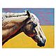 Картина конь Яркая картина с лошадью в интерьер, Картины, Санкт-Петербург,  Фото №1