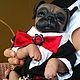 Reborn-Pug ,Princesa (1), Reborn, Moscow,  Фото №1